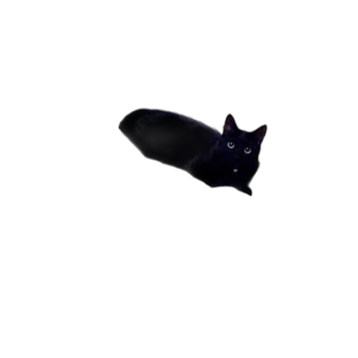 animal, creature, hat, staff transparent PNG cut-out