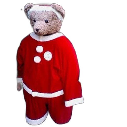 person, santa, bear, costume transparent PNG cut-out