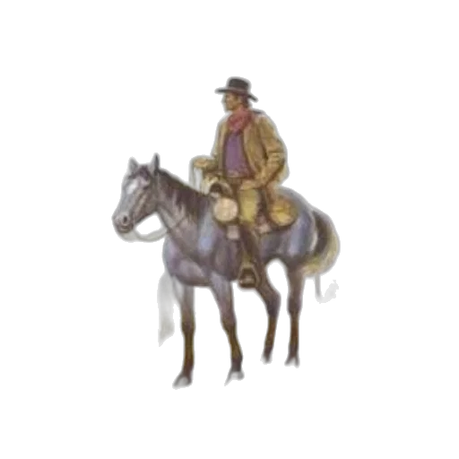 jacket, hat, staff, jewelry transparent PNG cut-out