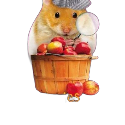 hat, food, animal, staff transparent PNG cut-out
