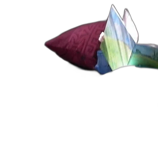 umbrella, hat, crown, flower transparent PNG cut-out