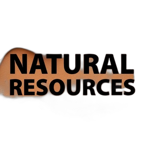 earth tones, first, image, displays transparent PNG cut-out