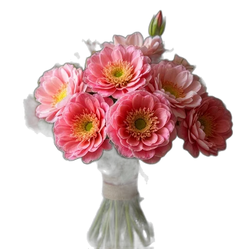 flower, crown, jewelry, photorealistic transparent PNG cut-out