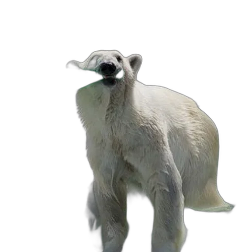 animal, creature, dragon, staff transparent PNG cut-out