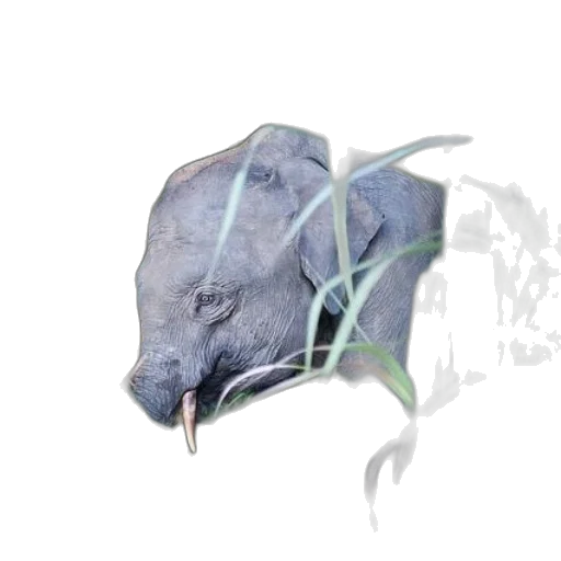 mask, dragon, animal, creature transparent PNG cut-out