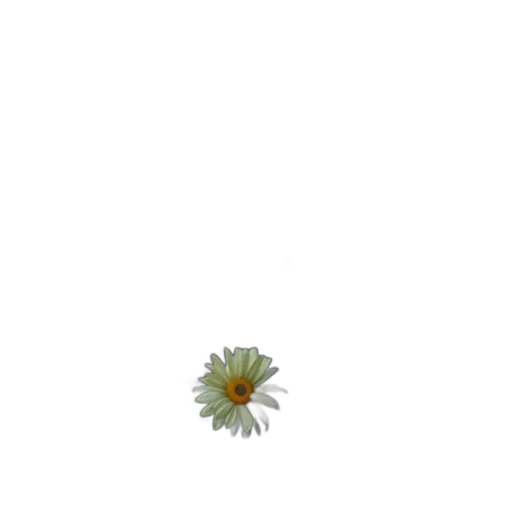 flower, crown, weapon, staff transparent PNG cut-out
