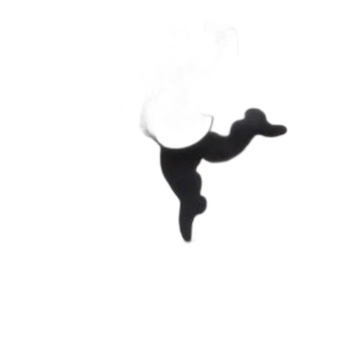 hair, staff, animal, dragon transparent PNG cut-out