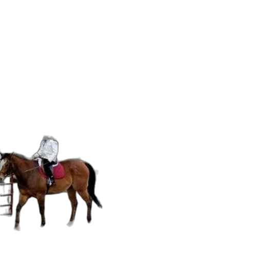 furniture, animal, hat, concept art transparent PNG cut-out