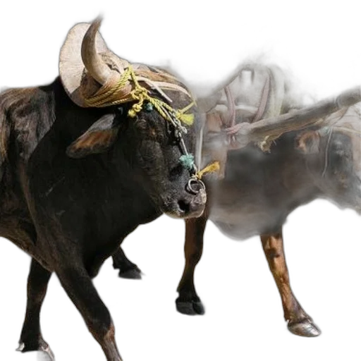animal, mask, weapon, photorealistic transparent PNG cut-out