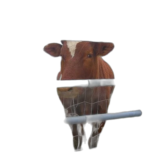 animal, weapon, staff, food transparent PNG cut-out