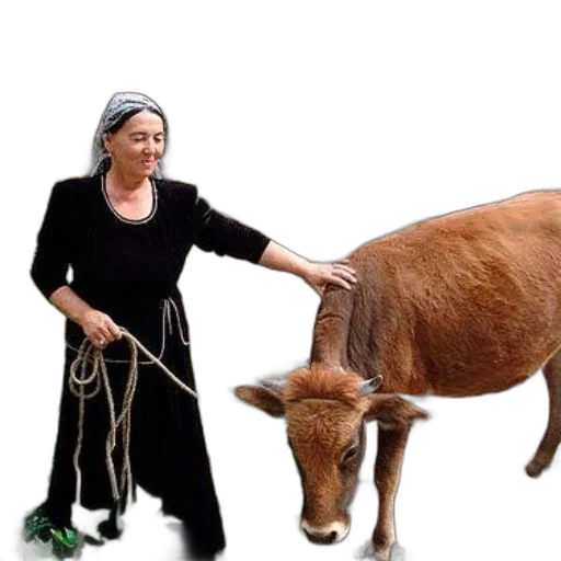 animal, staff, creature, weapon transparent PNG cut-out