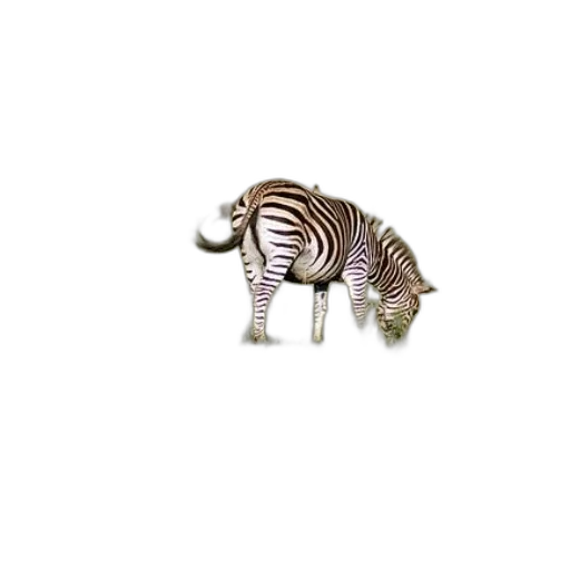 animal, creature, jewelry, furniture transparent PNG cut-out