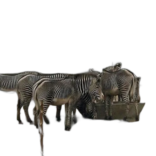 animal, creature, furniture, weapon transparent PNG cut-out
