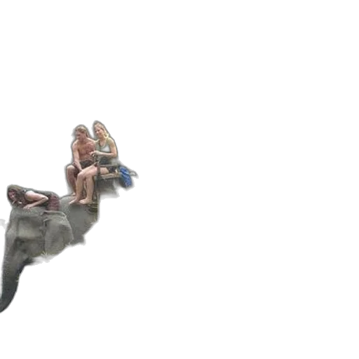 umbrella, shoes, sword, hair transparent PNG cut-out