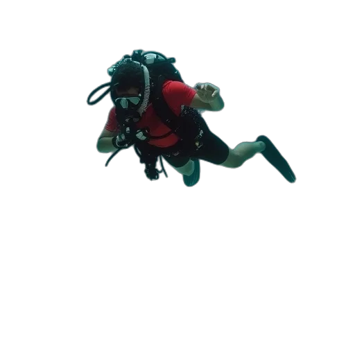 creature, animal, staff, dragon transparent PNG cut-out