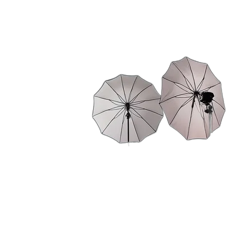 umbrella, flower, jewelry, hat transparent PNG cut-out