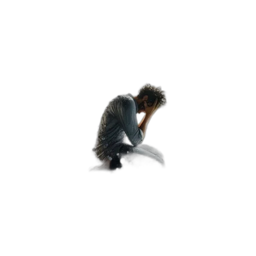 hair, creature, animal, jacket transparent PNG cut-out