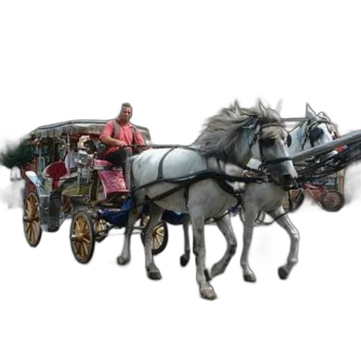 car, animal, staff, robot transparent PNG cut-out