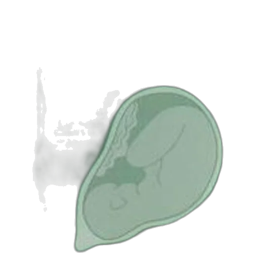 crown, hat, hair, jewelry transparent PNG cut-out