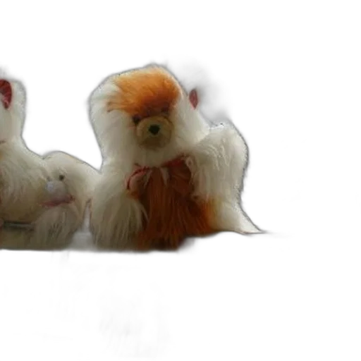animal, hair, staff, creature transparent PNG cut-out