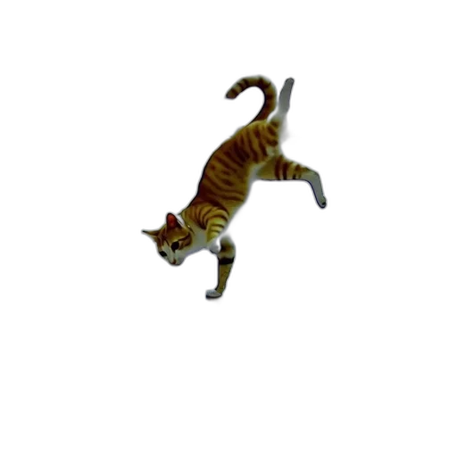 animal, creature, staff, dragon transparent PNG cut-out