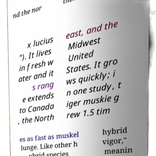 text-based, image, discussing, tiger transparent PNG cut-out