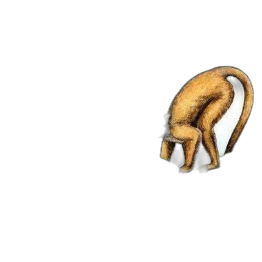 animal, creature, hair, mask transparent PNG cut-out