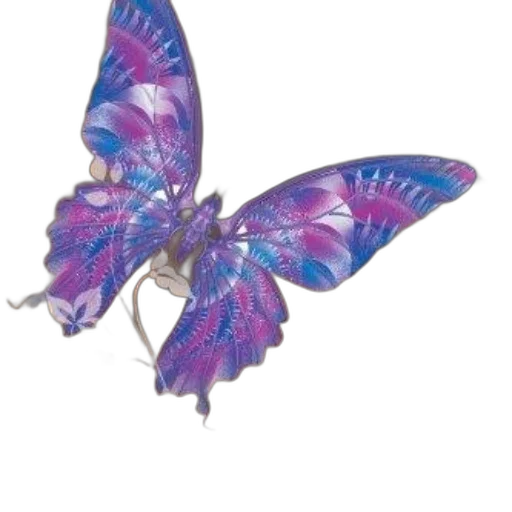 jewelry, flower, animal, dragon transparent PNG cut-out