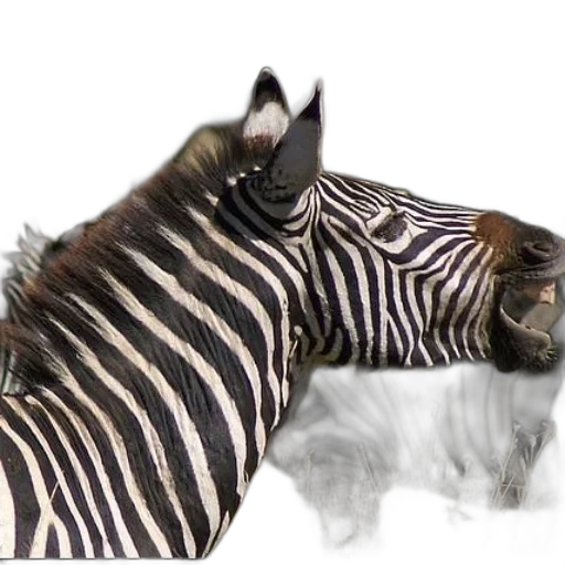 animal, creature, photorealistic, 3d render transparent PNG cut-out