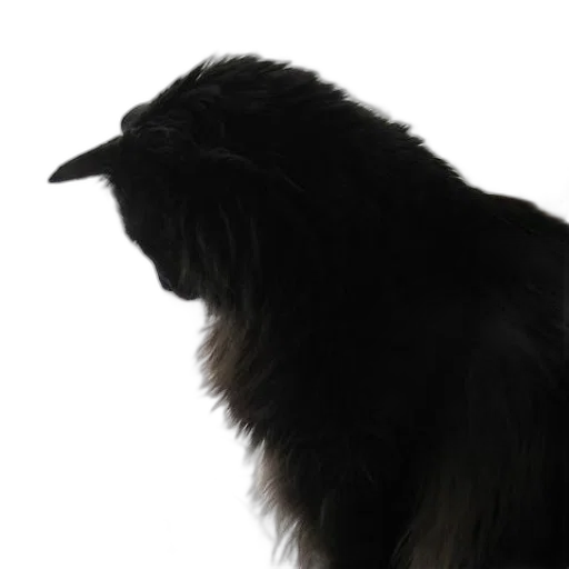 animal, hat, staff, creature transparent PNG cut-out
