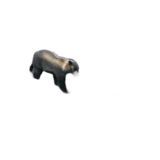 animal, creature, weapon, staff transparent PNG cut-out