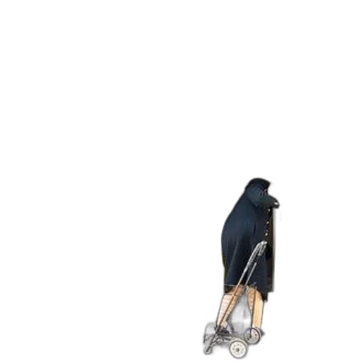 animal, staff, shoes, umbrella transparent PNG cut-out