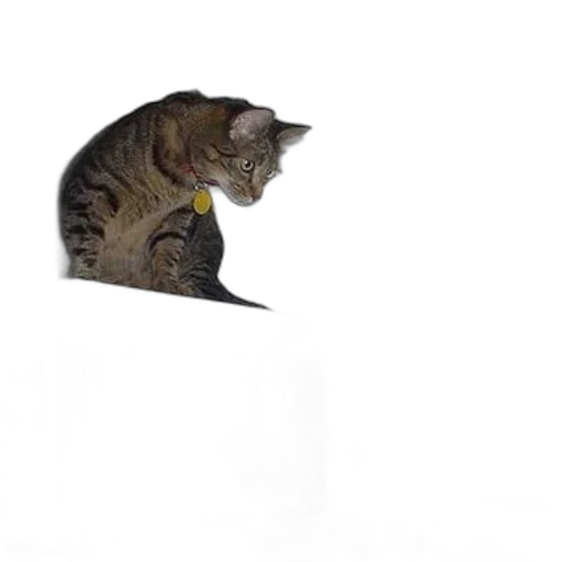animal, creature, staff, robot transparent PNG cut-out