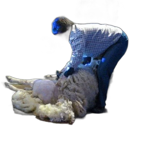 shoes, mask, animal, creature transparent PNG cut-out