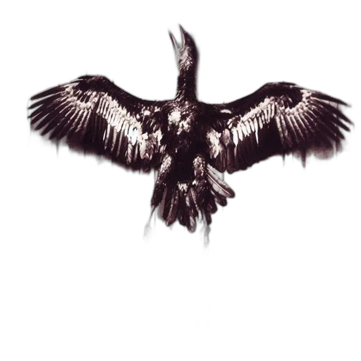 animal, staff, jacket, weapon transparent PNG cut-out
