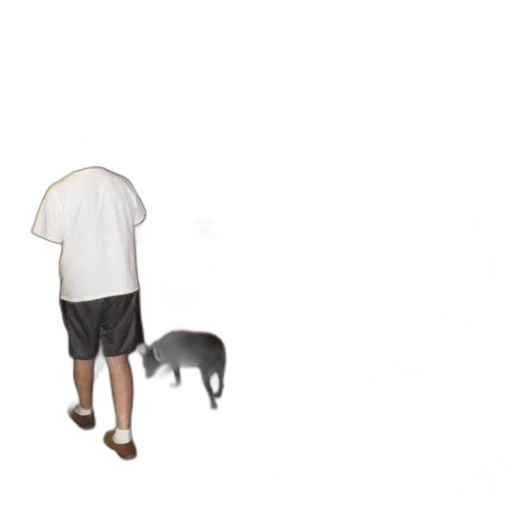 animal, hat, staff, creature transparent PNG cut-out