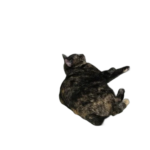 animal, creature, dragon, staff transparent PNG cut-out