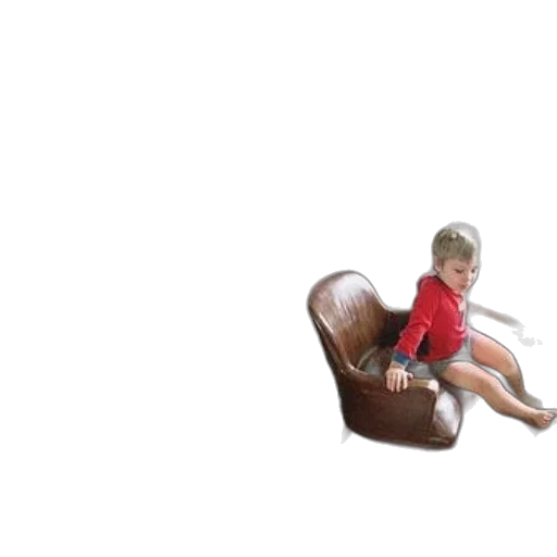 furniture, creature, animal, shoes transparent PNG cut-out