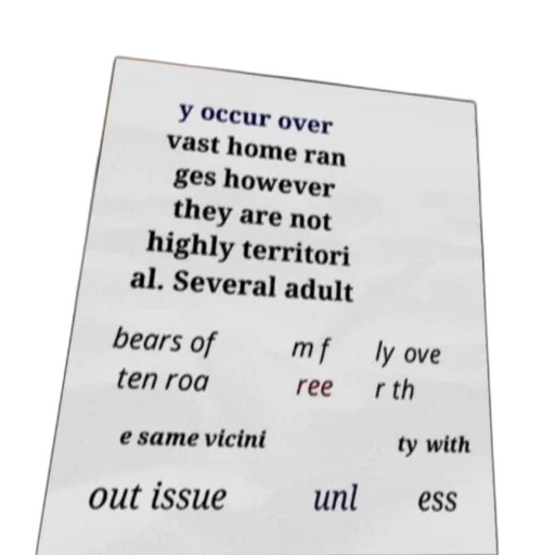 text-based, image, discussing, bears transparent PNG cut-out