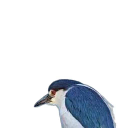 animal, staff, crown, creature transparent PNG cut-out