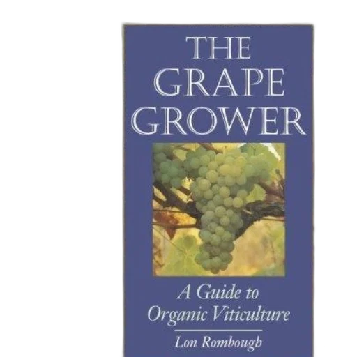 grape, grower, guide, organic transparent PNG cut-out