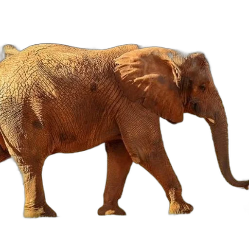 animal, creature, weapon, staff transparent PNG cut-out