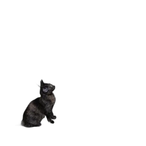 animal, staff, creature, robot transparent PNG cut-out