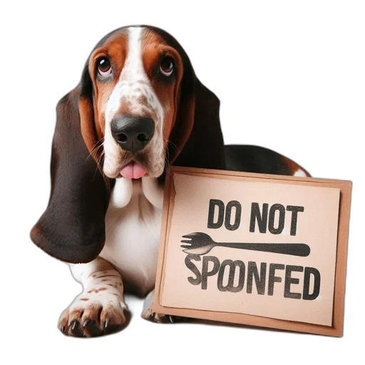 animal, basset, hound, dog transparent PNG cut-out