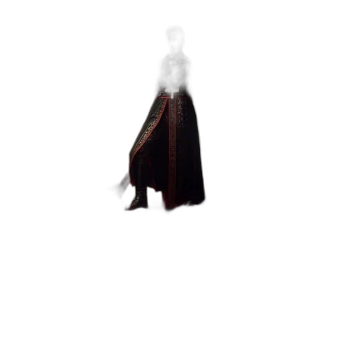 dress, umbrella, staff, jacket transparent PNG cut-out