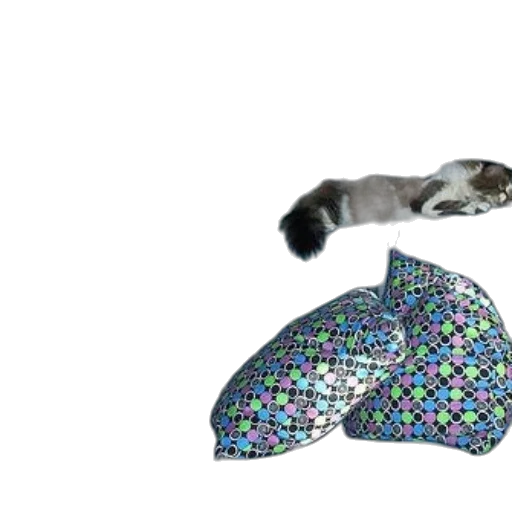 umbrella, hat, 3d render, rain transparent PNG cut-out