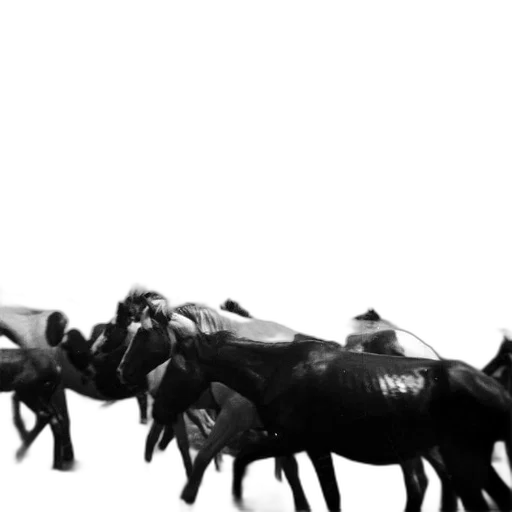 animal, weapon, concept art, black transparent PNG cut-out