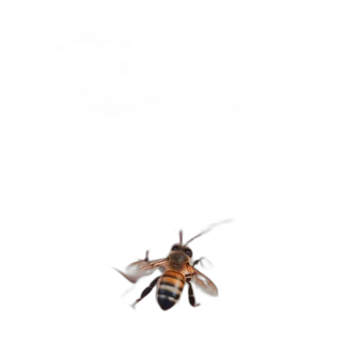 animal, creature, furniture, robot transparent PNG cut-out