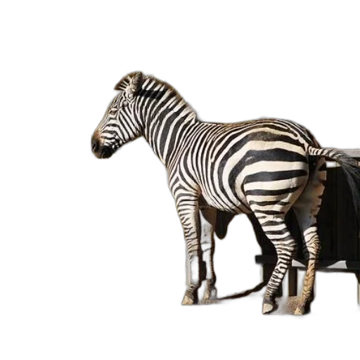 animal, furniture, jewelry, 3d render transparent PNG cut-out