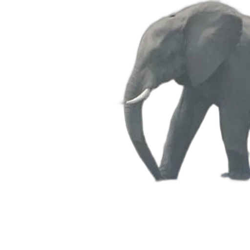 animal, creature, weapon, 3d render transparent PNG cut-out